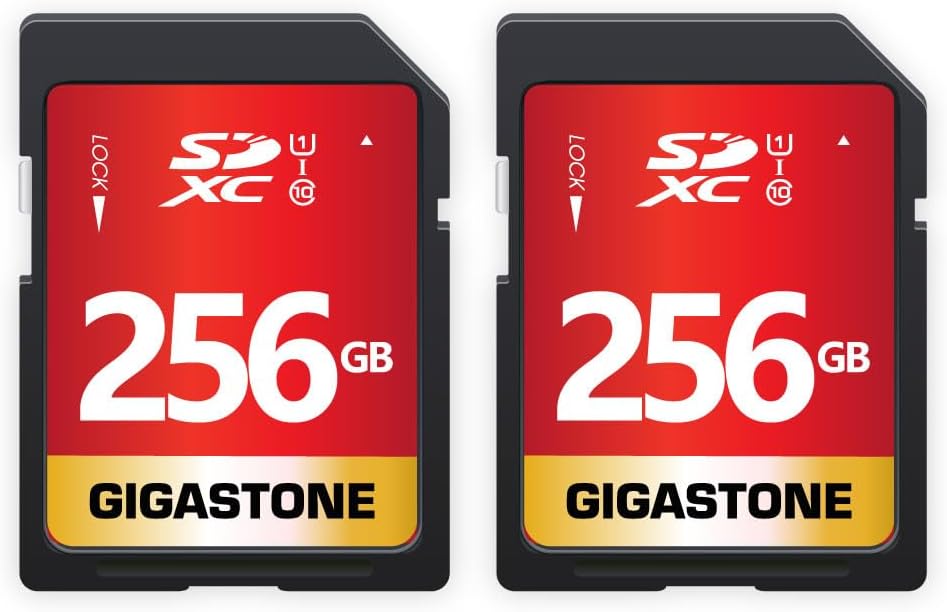 GIGASTONE 256GB SD Card 2-Pack UHS-I U1 Class 10 SDXC Memory Card High Speed Full HD Video Canon Olympus Digital Camera, with 2 Mini Cases