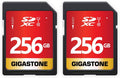 GIGASTONE 256GB SD Card 2-Pack UHS-I U1 Class 10 SDXC Memory Card High Speed Full HD Video Canon Olympus Digital Camera, with 2 Mini Cases