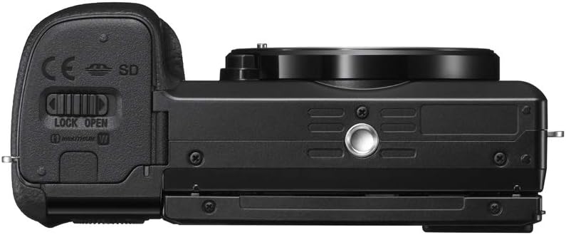 Sony a6100 Mirrorless Camera | Official Sony USA Partner Model | 4K APS-C Body Only Interchangeable Lens Camera ILCE-6100B with Deco Gear Case + Battery + Flash + Wireless Remote + 64GB Memory Card