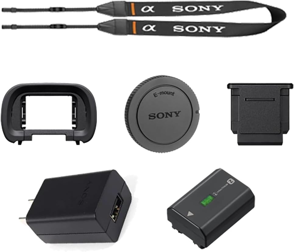 Sony Alpha a7 IV Mirrorless Camera Body Bundled with 64GB Memory Card + Case + Cleaning Kit + Memory Card Case + Card Reader + Screen Protectors + Battery and Charger + Cloth (10 Items)
