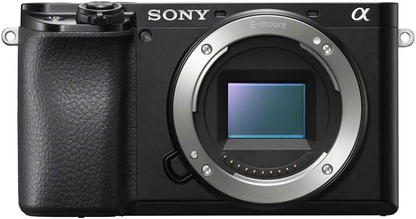 Sony a6100 Mirrorless Camera | Official Sony USA Partner Model | 4K APS-C Body Only Interchangeable Lens Camera ILCE-6100B with Deco Gear Case + Battery + Flash + Wireless Remote + 64GB Memory Card