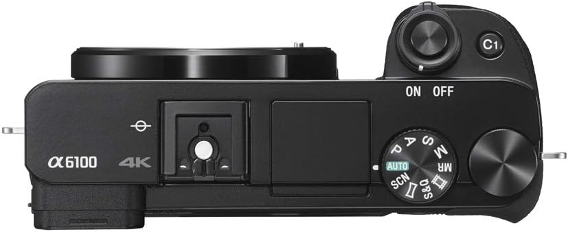 Sony a6100 Mirrorless Camera | Official Sony USA Partner Model | 4K APS-C Body Only Interchangeable Lens Camera ILCE-6100B with Deco Gear Case + Battery + Flash + Wireless Remote + 64GB Memory Card