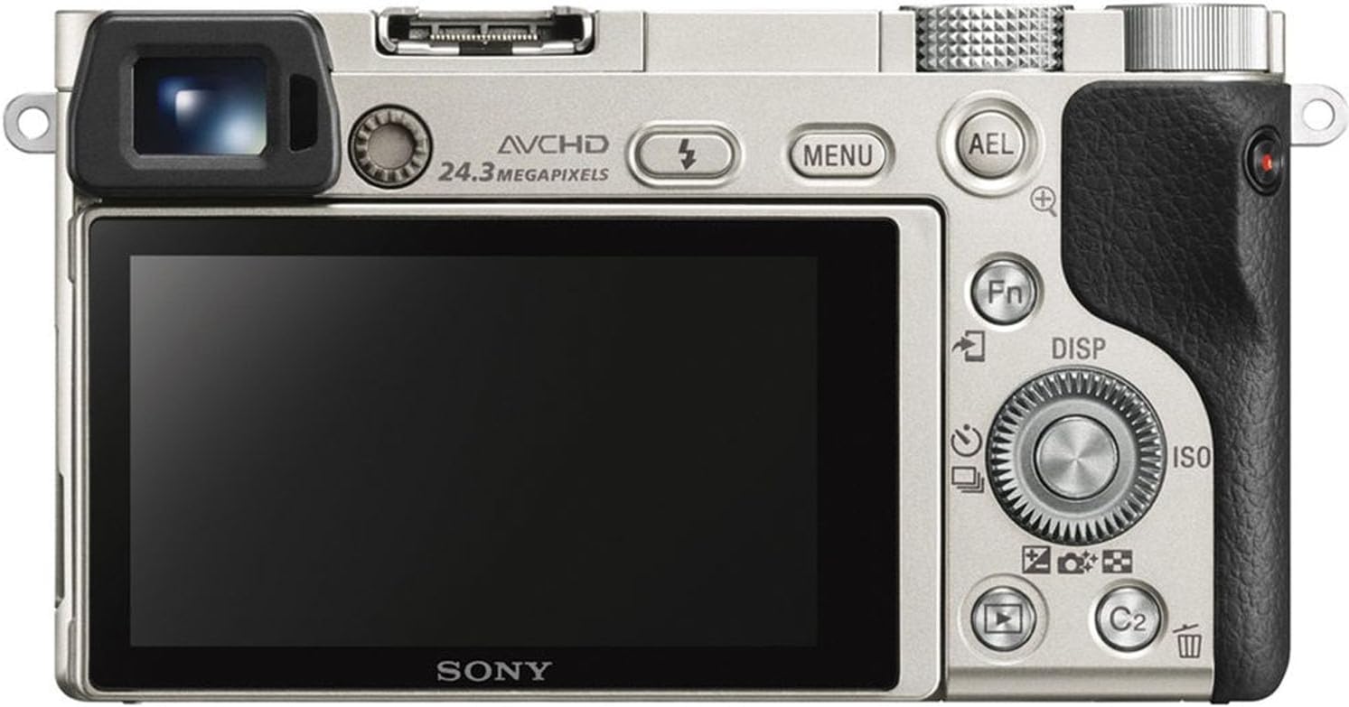 Sony Alpha a6000 Mirrorless Digital Camera (Silver, Body Only) + 64 GB Memory + Extra Battery + Spider Tripod + Case + Tripod + LED Light + Battery Charger + More (21pc Bundle) (Renewed)