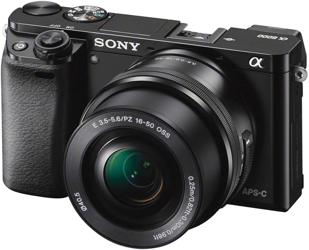 Sony Alpha a6000 Mirrorless Camera with 16-50mm and 55-210mm Lenses ILCE6000Y/B with Sony FE 85mm Lens, Soft Bag, Additional Battery, 64GB Card, Card Reader, Plus Accessories