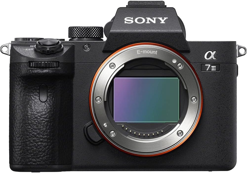 Sony a7 III Mirrorless Camera with 28-70mm Lens Bundle - ILCE7M3K/B + Prime Accessory Package Including 128GB Memory, TTL Flash, Replacement Battery, Editing Software Package, Auxiliary Lenses & More