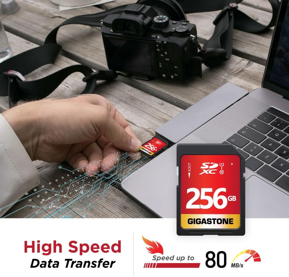 GIGASTONE 256GB SD Card 2-Pack UHS-I U1 Class 10 SDXC Memory Card High Speed Full HD Video Canon Olympus Digital Camera, with 2 Mini Cases