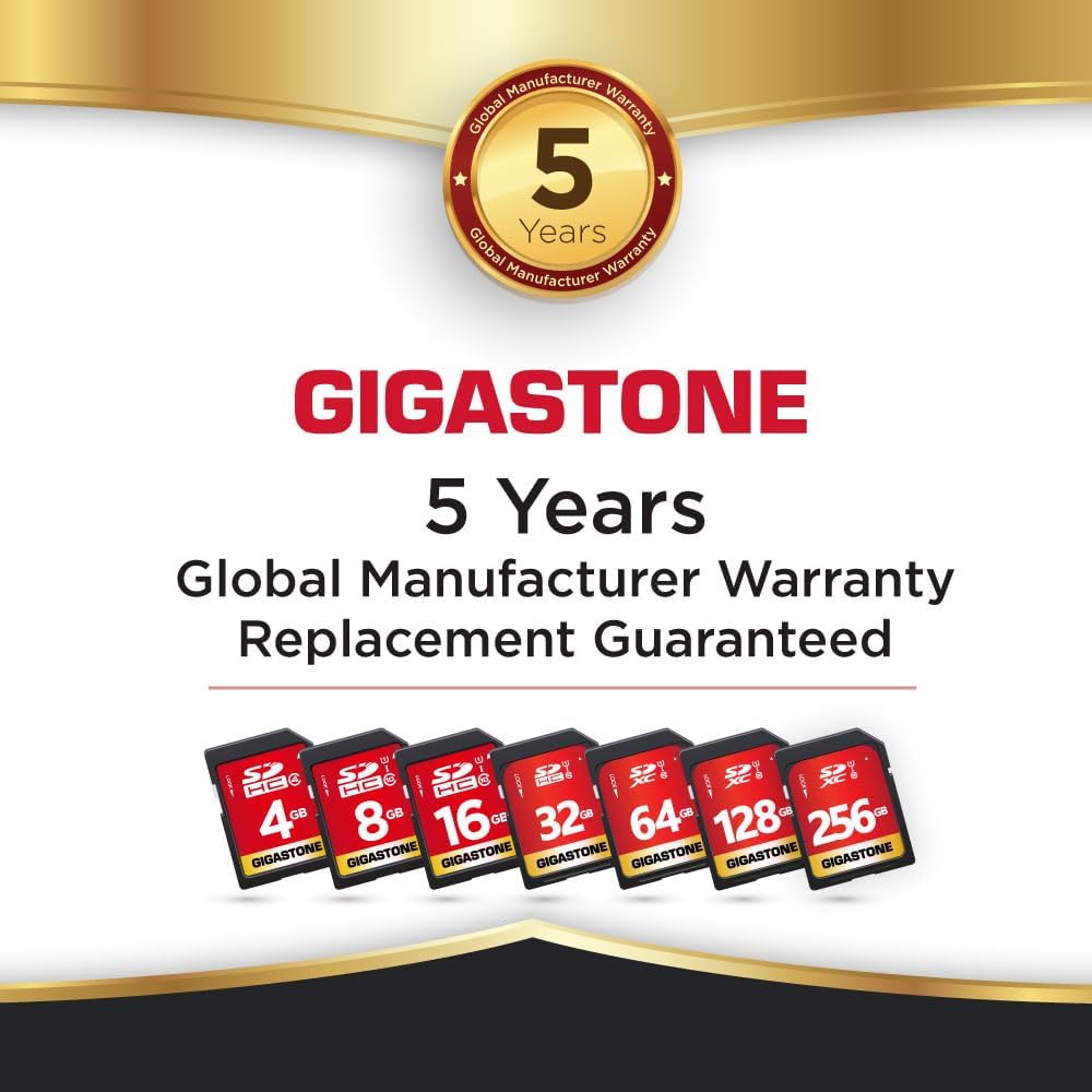 GIGASTONE 256GB SD Card 2-Pack UHS-I U1 Class 10 SDXC Memory Card High Speed Full HD Video Canon Olympus Digital Camera, with 2 Mini Cases