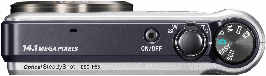 Sony Cyber-shot DSC-H55 14.1MP Digital Camera with 10x Wide Angle Optical Zoom with SteadyShot Image Stabilization and 3.0 inch LCD (Silver)