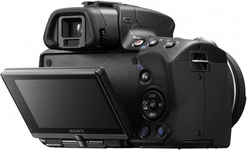 Sony Alpha SLTA33L DSLR with Translucent Mirror Technology and 3D Sweep Panorama (Black)