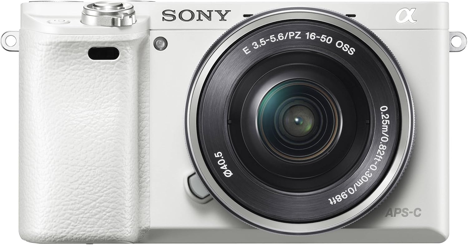 Sony Alpha a6000 Mirrorless Camera with 16-50mm Lens (Silver) with Bag, 64GB Memory Card, Card Reader, Plus Essential Accessories