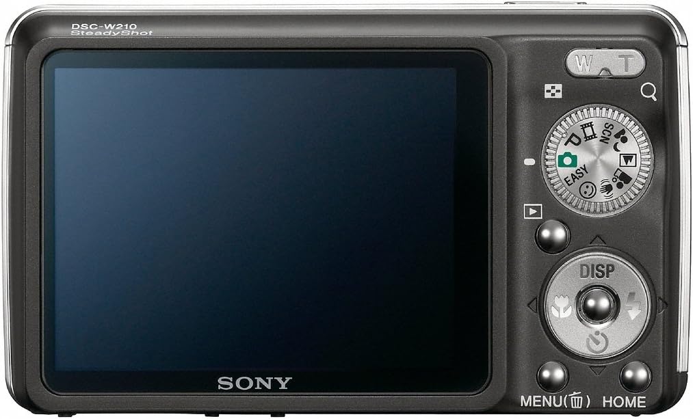 Sony Cybershot DSC-W220 12.1MP Digital Camera with 4x Optical Zoom with Super Steady Shot Image Stabilization (Black)