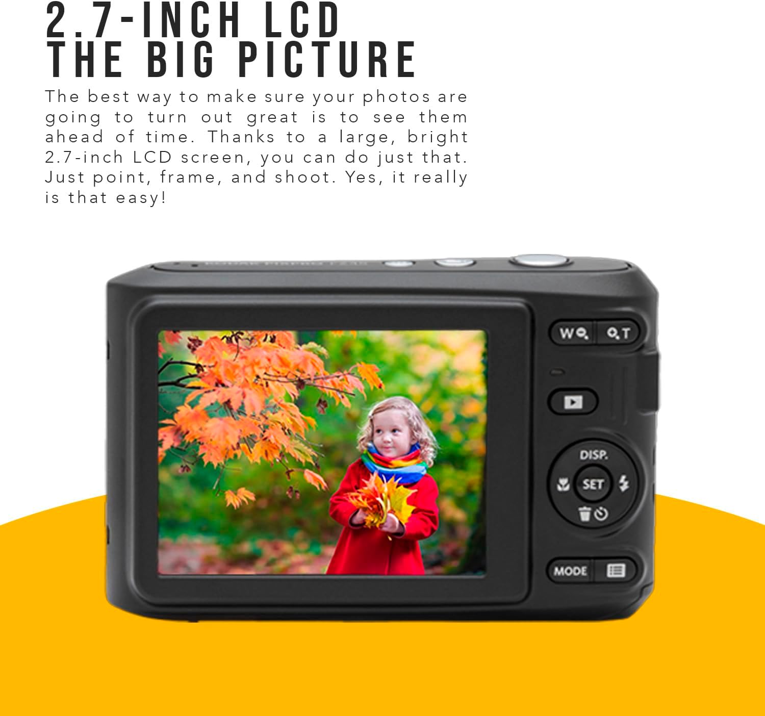 Kodak PIXPRO FZ45 Friendly Zoom Digital Camera (White) Bundle with Folding Storage Travel Case, 128GB SD Class 10 UHS-I U1 V10 Full HD Memory Card, and Procell AA (4-Pack) (4 Items)