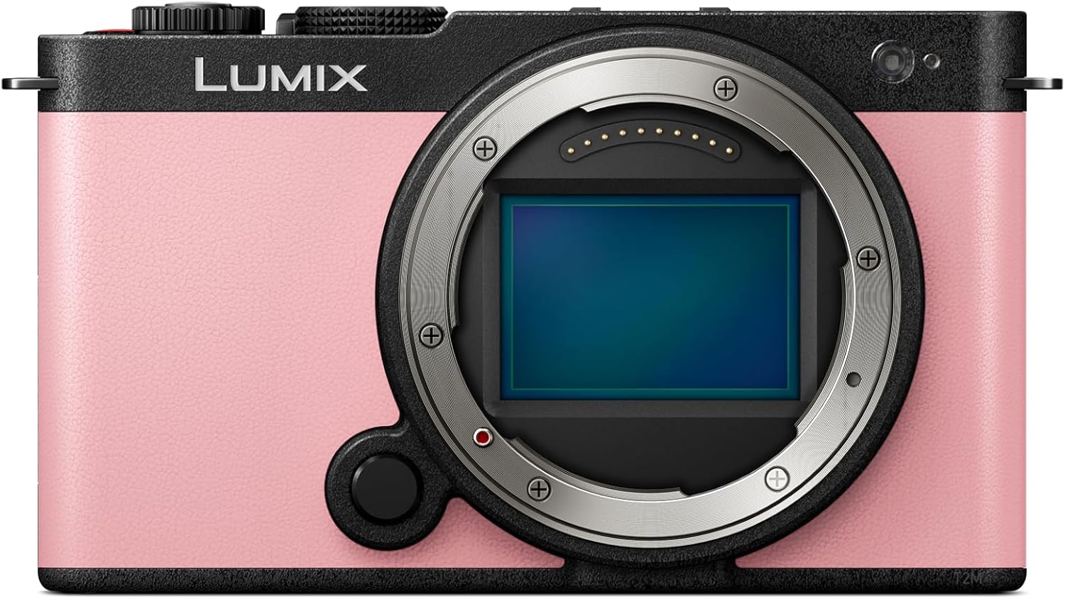 Panasonic LUMIX S9 Full-Frame Mirrorless Camera, Compact, Lightweight Body, Perfect for Social Media and Travel (DC-S9BODYP)