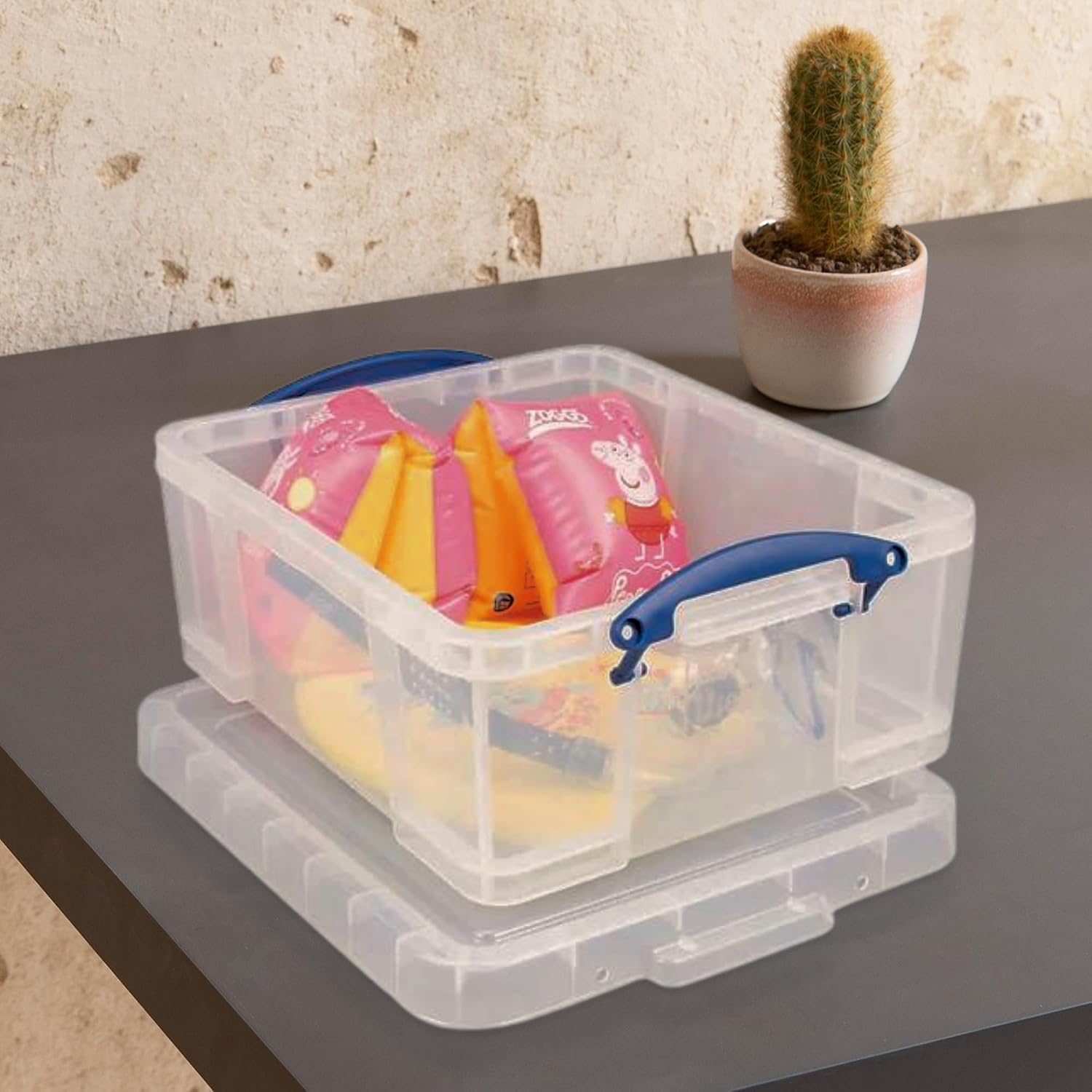 Really Useful Box 10 Pack 17L Plastic Storage Bins with Snap Lids and Clip Lock, Clear