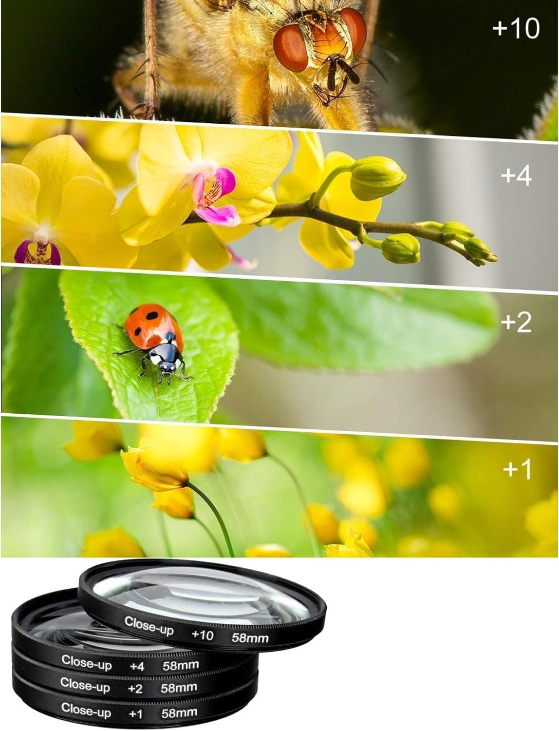 Sony a7 III Full-Frame Interchangeable Lens Camera 24MP 4K w/Sony 28-70mm and 55-210mm f/4.5-6.3 OSS Lenses+420-800mm f/8.3 Telephoto Lens+PRO Accessory Bundle (Renewed)