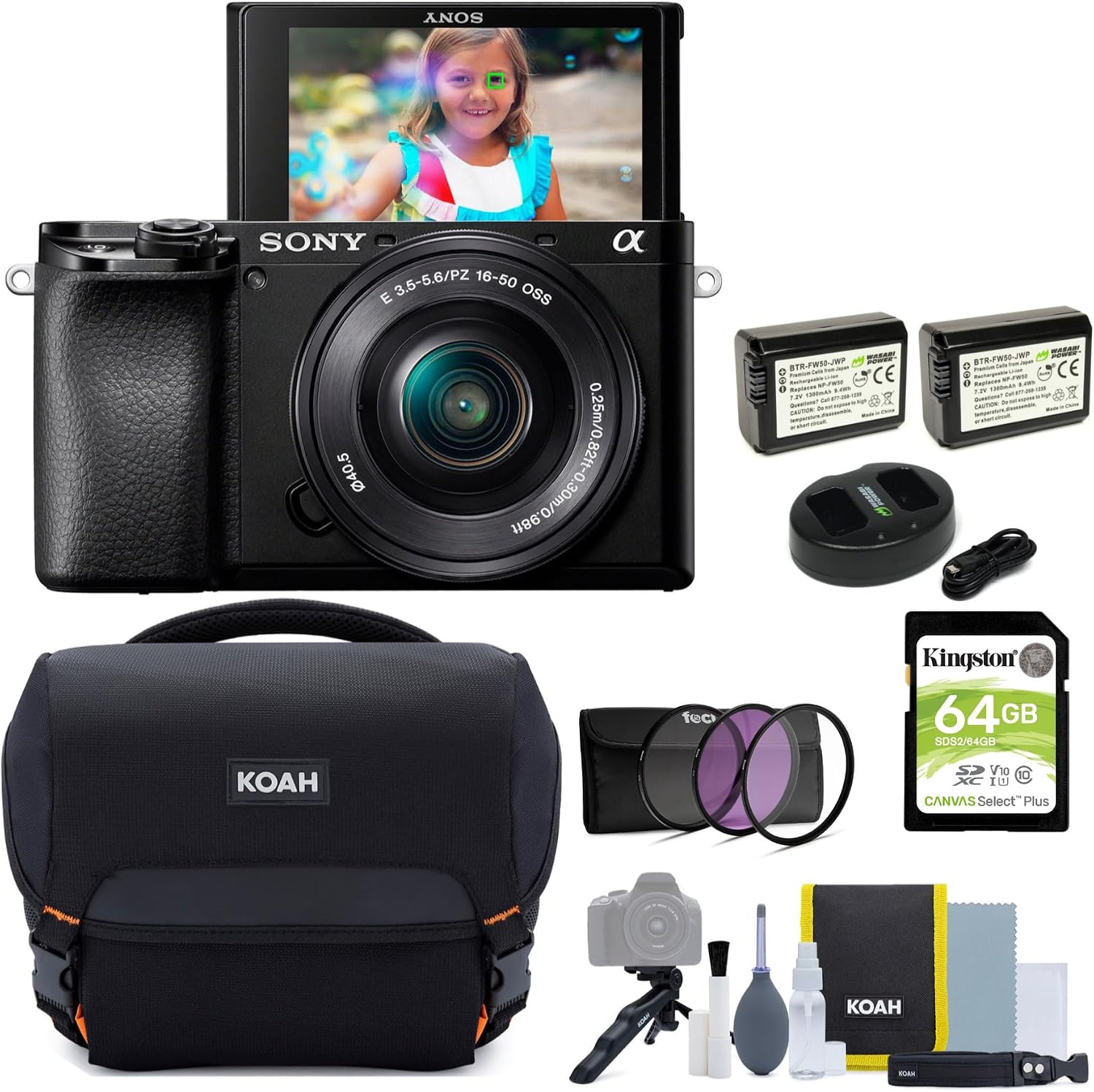 Sony Alpha a6100 APS-C Mirrorless Interchangeable-Lens Camera with 16-50mm Lens Bundle with Gadget Bag, 40.5mm 3-Piece UV, CPL, FLD Lens Filter Kit, Rechargeable Battery, and Memory Card (5 Items)
