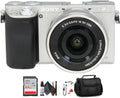 Sony Alpha a6000 Mirrorless Camera with 16-50mm Lens (Silver) with Bag, 64GB Memory Card, Card Reader, Plus Essential Accessories