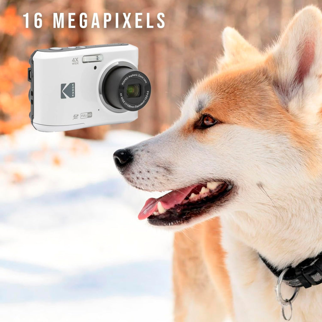Kodak PIXPRO FZ45 Friendly Zoom Digital Camera (White) Bundle with Folding Storage Travel Case, 128GB SD Class 10 UHS-I U1 V10 Full HD Memory Card, and Procell AA (4-Pack) (4 Items)