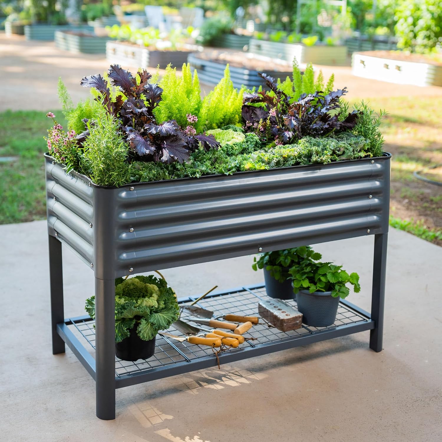 Elevated Raised Garden Bed-V Series, 2' x 4' Garden Beds with Legs & Storage Rack for Patio Porch, 700 Lbs Weight Capacity, Outdoor Planter Boxes for Gardening Herbs Vegetables Flowers, Modern Gray