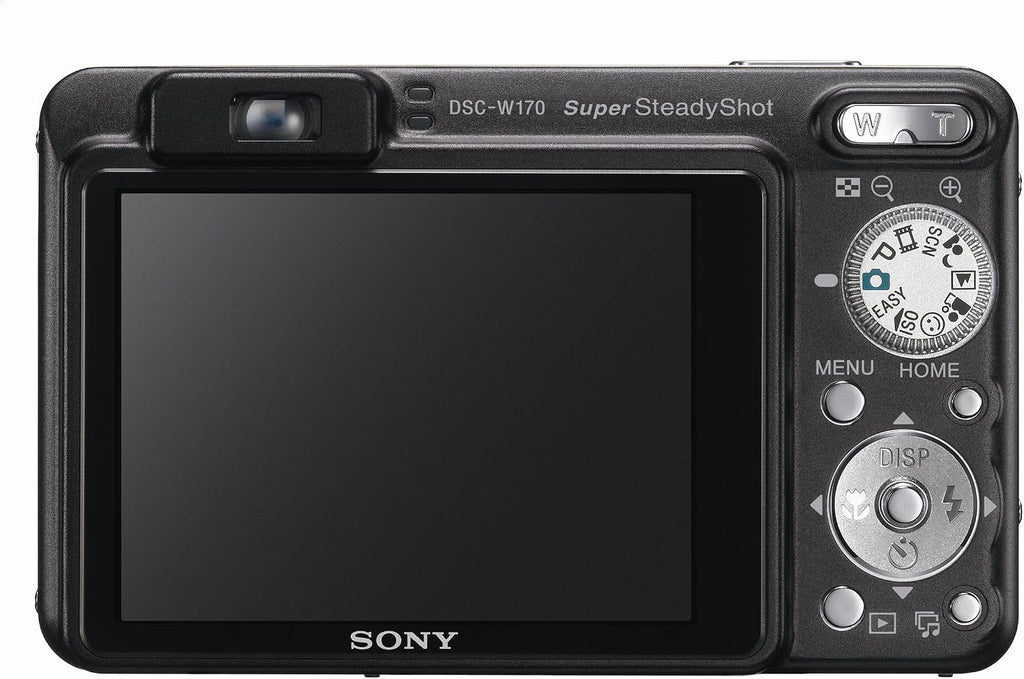 Sony Cybershot DSCW170/B 10.1MP Digital Camera with 5x Optical Zoom with Super Steady Shot (Black)