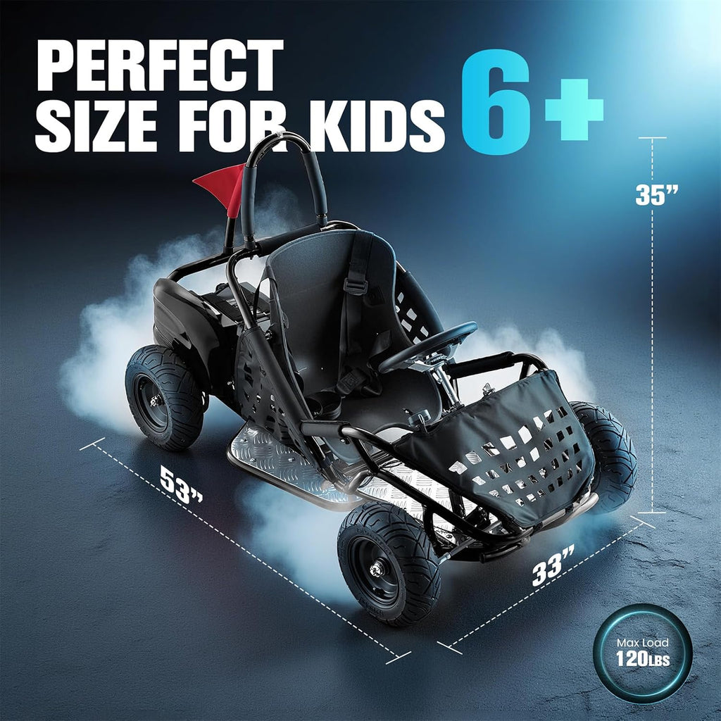 Electric Go Kart, 48V Powered Ride On Car, Steel Tubular Frame, Seat Belt, 13 inch All-Terrain Tires, Parental Speed Control, Max 20 Mph (Black)