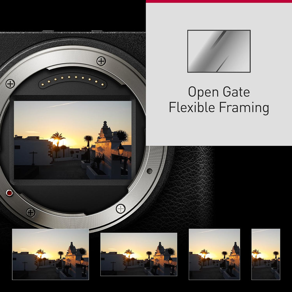 Panasonic LUMIX S9 Mirrorless Camera, 24.2MP Full Frame with Phase Hybrid AF, New Active I.S. Technology - DC-S9BODYK (Black)