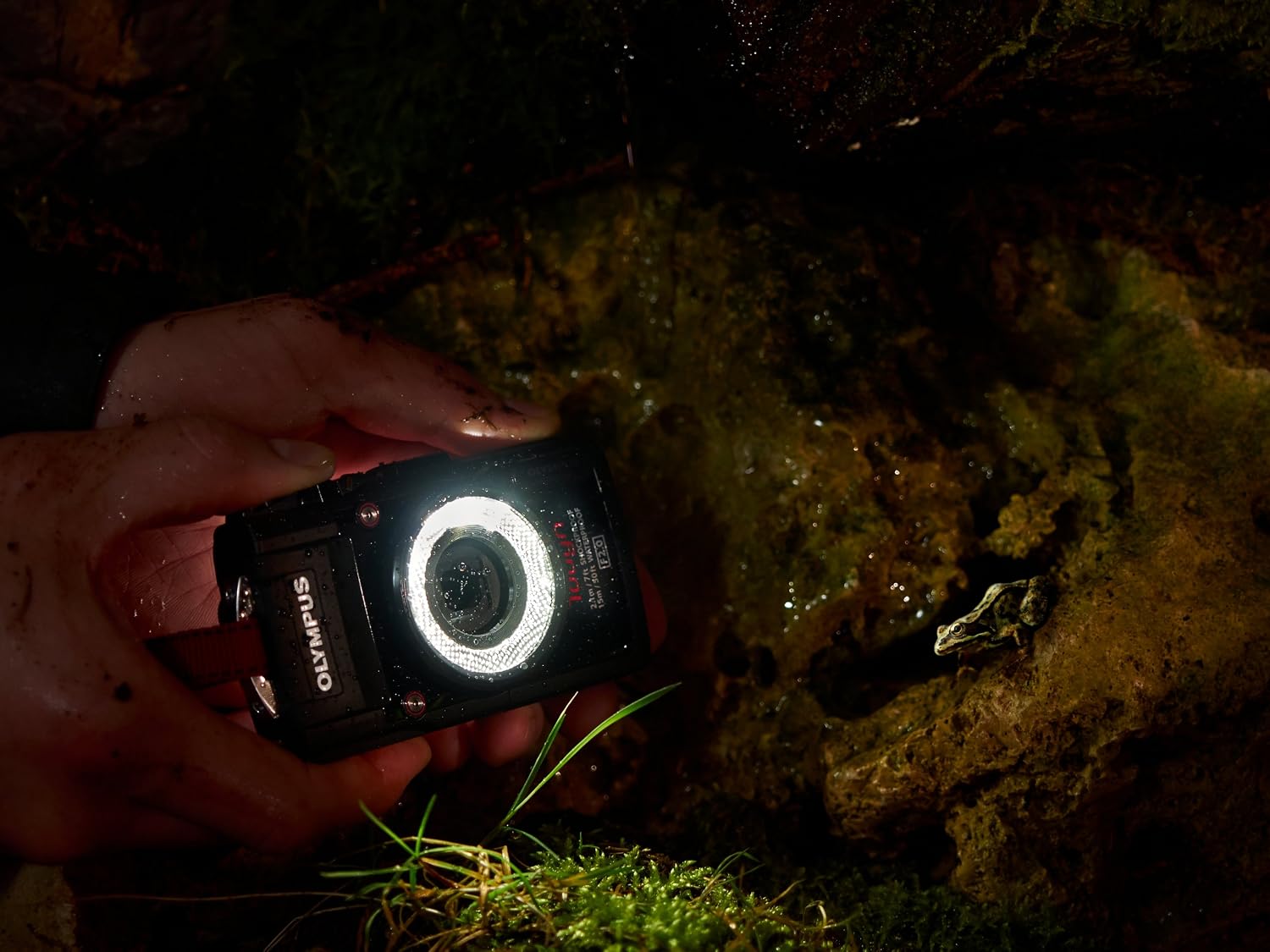OM SYSTEM Olympus TG-3 Waterproof 16 MP Digital Camera (Black) - International Version (No Warranty)