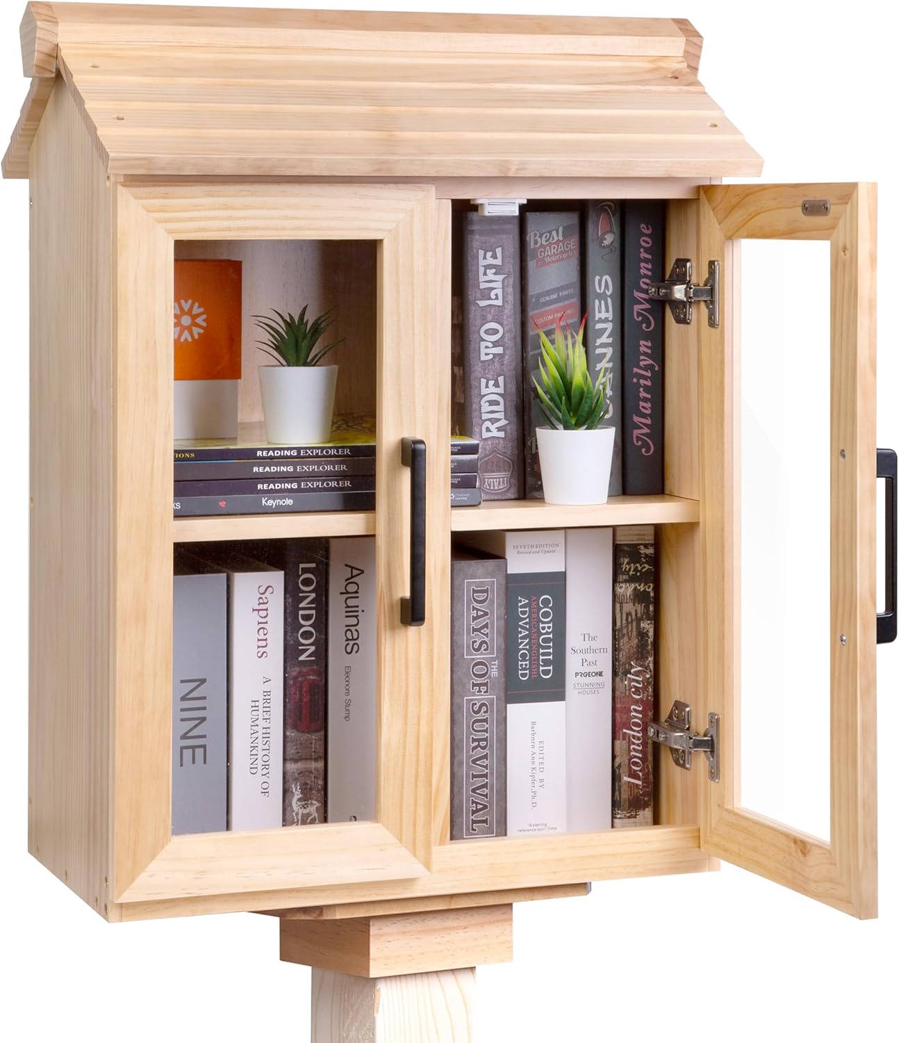 Little Library Box Outdoor Kit with Mount, 2-Tier Book Exchange Box (21×11×26 in), Waterproof Pine Little Free Library Kit with 2 Acrylic Doors, Outdoor Book Storage for Yards, Schools, Parks