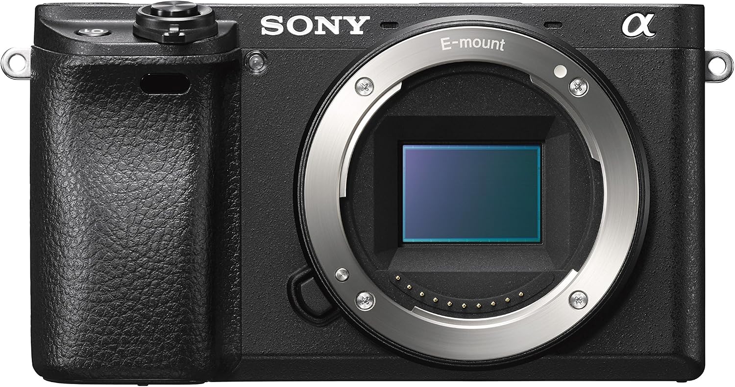 Sony Alpha a6300 Mirrorless Digital Camera with E PZ 16-50mm F3.5-5.6 OSS Power Zoom Lens (Black)