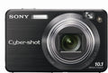 Sony Cybershot DSCW170/B 10.1MP Digital Camera with 5x Optical Zoom with Super Steady Shot (Black)